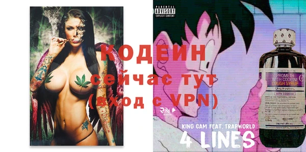 дурь Балахна