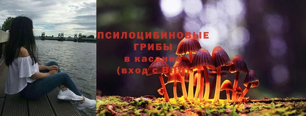 дурь Балахна