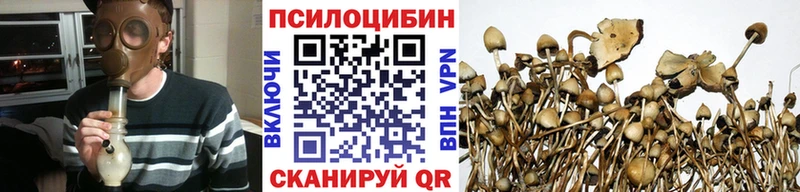 Псилоцибиновые грибы Psilocybe  даркнет сайт  Лянтор 